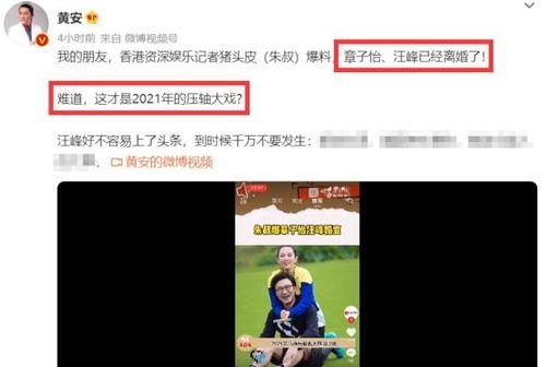 最新爆料刘杉杉视频播放,揭秘背后惊人真相！